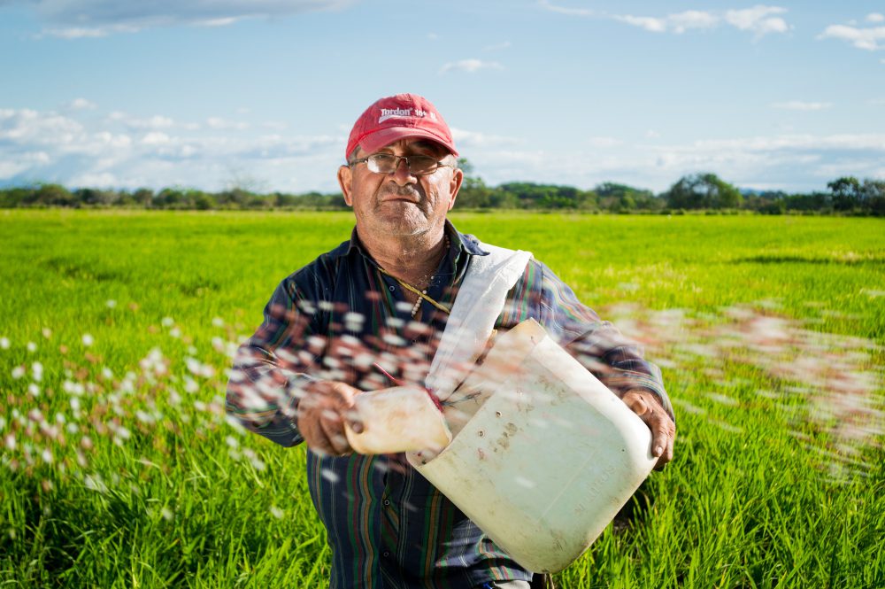 Landwirtschaft